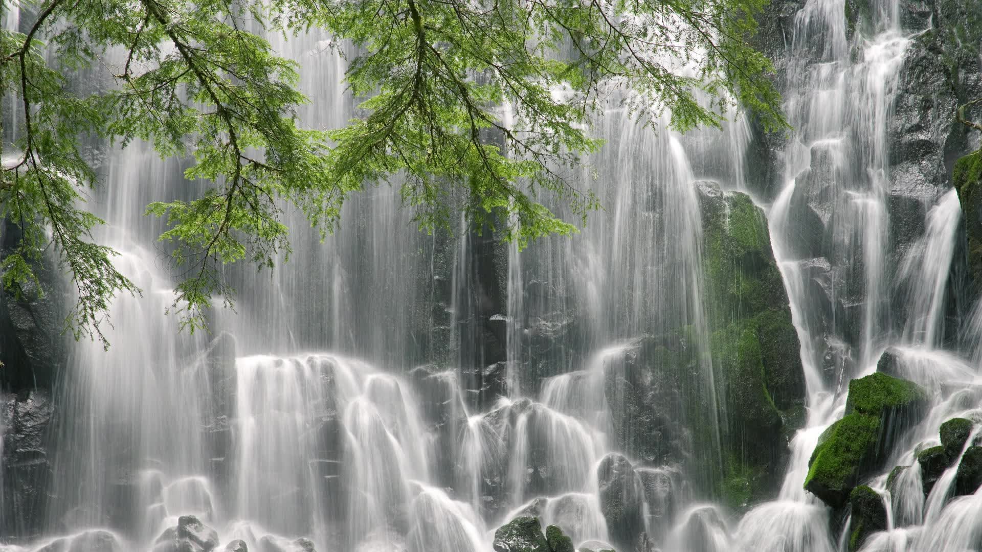 世界短道速滑科研训练模型应用示范基地第32批揭牌通知，世界短道速滑锦标赛2021中国队